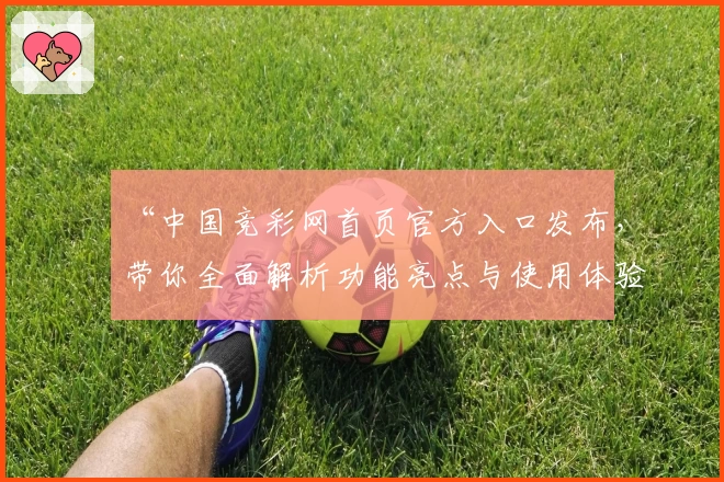 “中国竞彩网首页官方入口发布，带你全面解析功能亮点与使用体验”