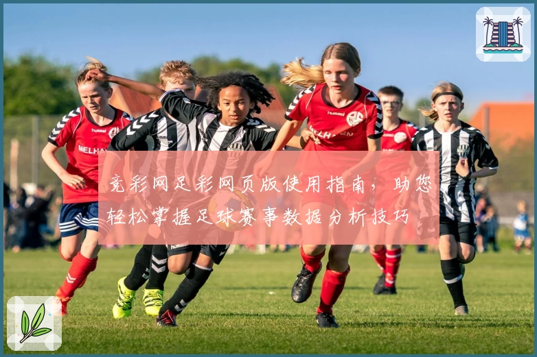 竞彩网足彩网页版使用指南，助您轻松掌握足球赛事数据分析技巧