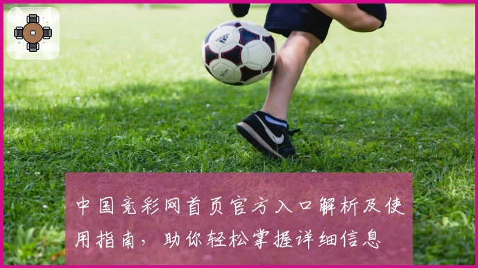 中国竞彩网首页官方入口解析及使用指南，助你轻松掌握详细信息