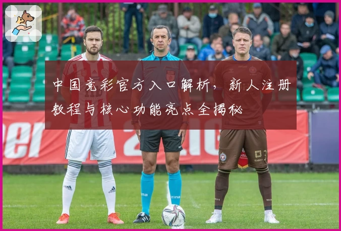 中国竞彩官方入口解析，新人注册教程与核心功能亮点全揭秘