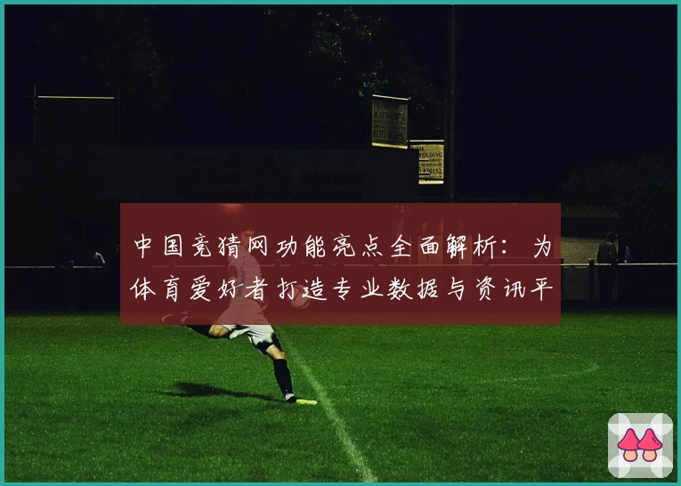 中国竞猜网功能亮点全面解析：为体育爱好者打造专业数据与资讯平台